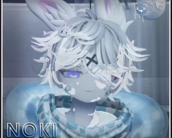 Noki