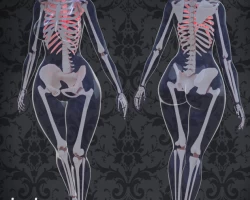 Skeleton for Zinpia VRBase