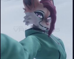 Feline +