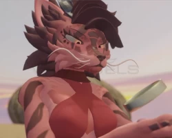 Draxcat