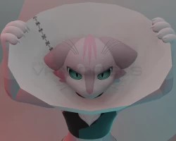 Mayu Cone of Shame