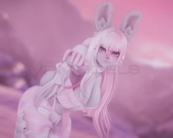 Hase