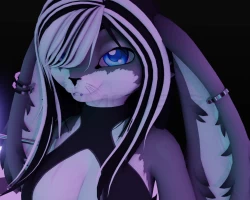 Bella The Bunny