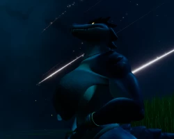 Star Gazing