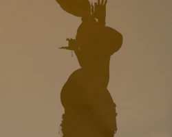 kagemusha