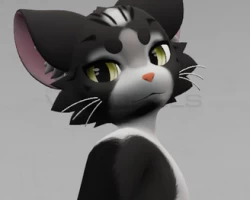 Silver Tabby Mayu Texture