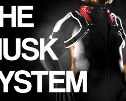 The Musk System