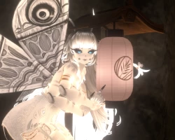 Moth + Lamp