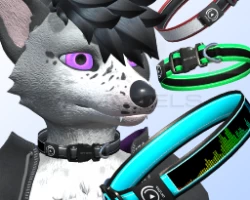 Collar for Canis and Rex