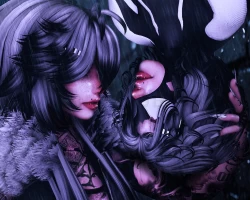 Aranea