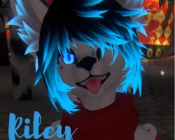 Riley The Artic Fox
