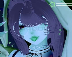 Destinys Zora