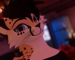 KitCat