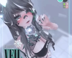 Veil