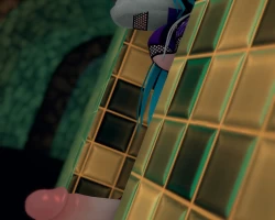 Hide