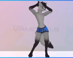 KitFox KitCat KitDeer Swimshorts