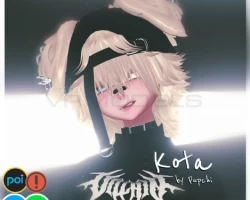 Kota