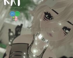 Kat