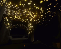 Gm's projector pet
