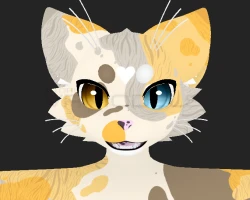 mayu calico texture