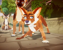 DovaDog