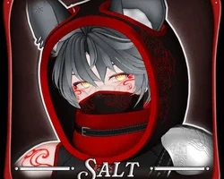 Salt - The Chinchilla Ninja