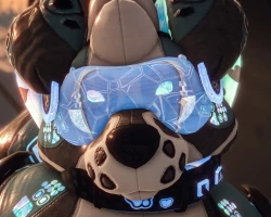 Plushtoy Canine Kit
