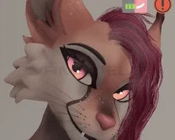 Feline+